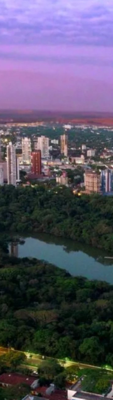 Cidade e floresta urbana